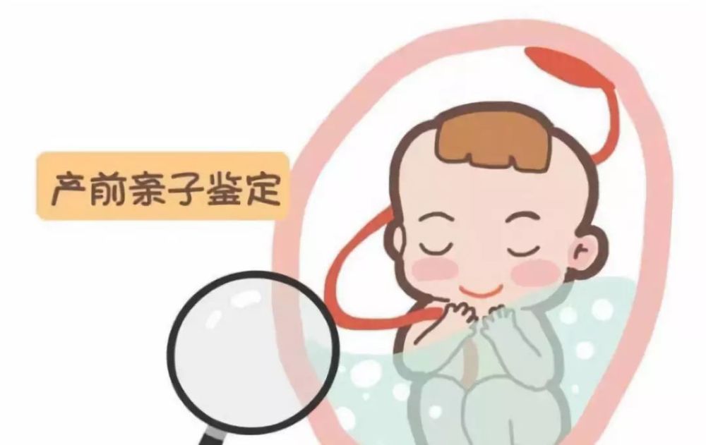 做百色无创胎儿亲子鉴定的价格是多少？