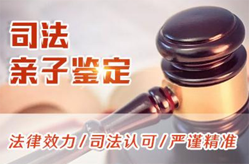 百色实名亲子鉴定需要如何做,百色实名亲子鉴定大概多少钱